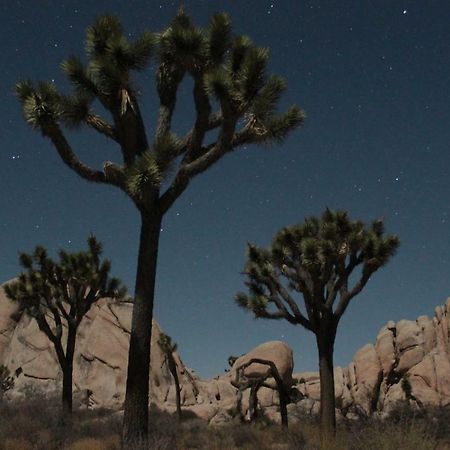 فيلا 29 Hillside By Jtnp Visitor Center تونتي ناين بالمز المظهر الخارجي الصورة